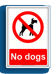 No dogs